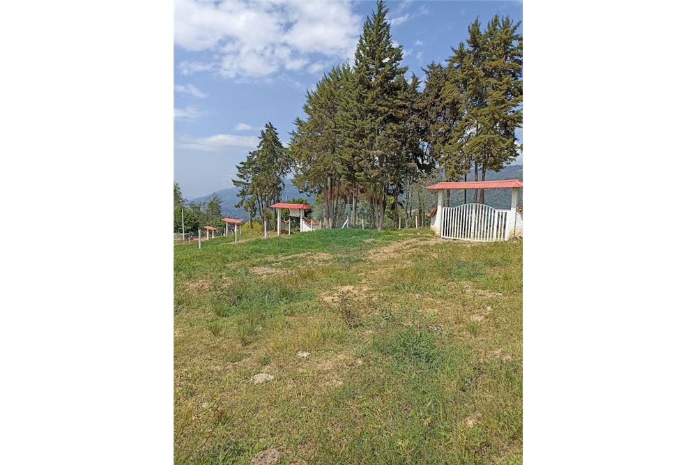 3 Lots for Sale in Silvania - 3 Lotes en Venta en Silvania